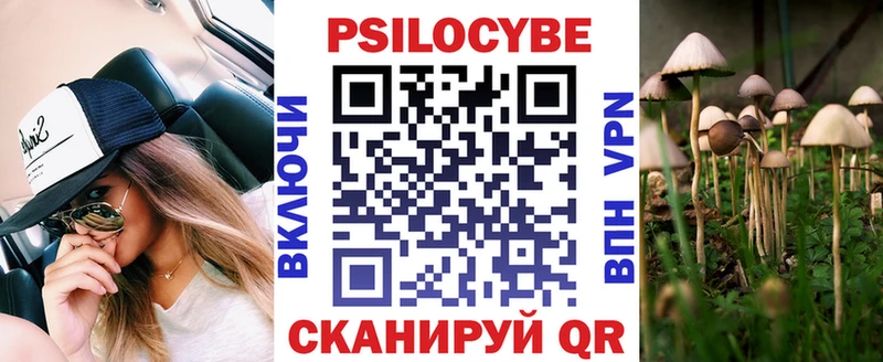 хочу наркоту  гидра как войти  Галлюциногенные грибы Psilocybe  Вичуга 